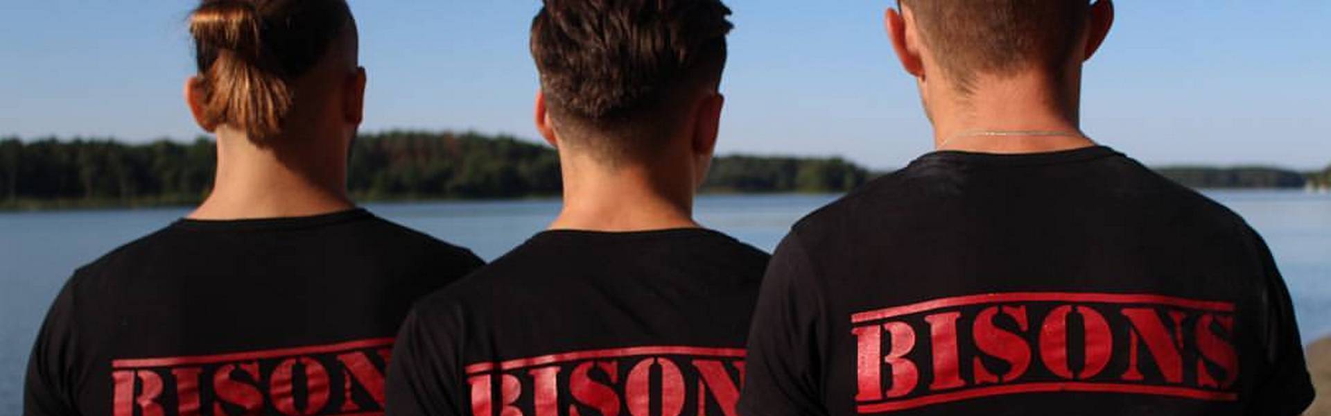 Bisons