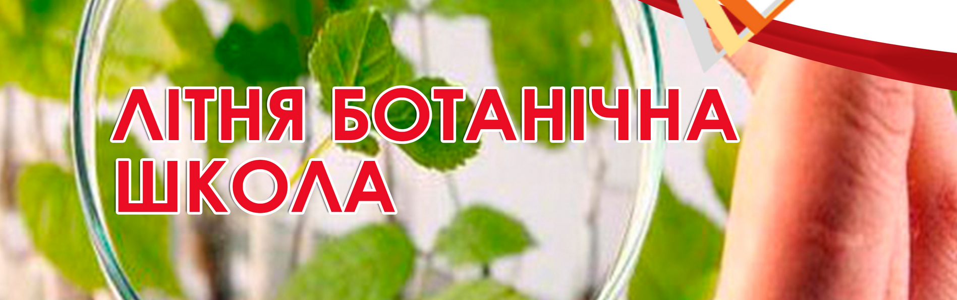 Літня ботанічна школа